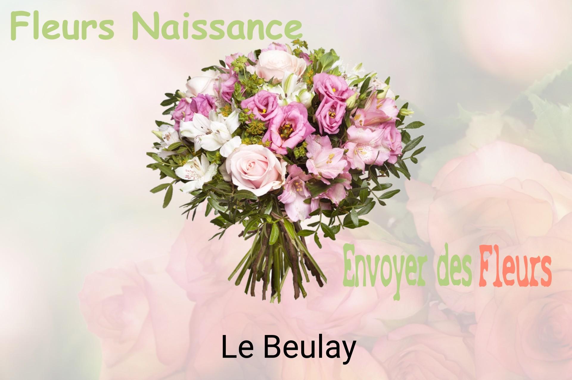 Bouquet de fleurs de naissance livré à Le Beulay